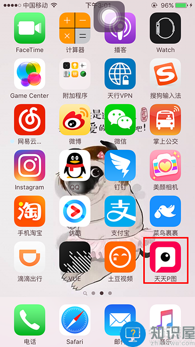 天天p图怎么拍gif图