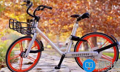摩拜单车新一轮福利来袭，推出全橙免费周