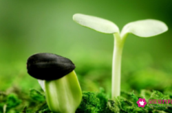 基本常识大全1000