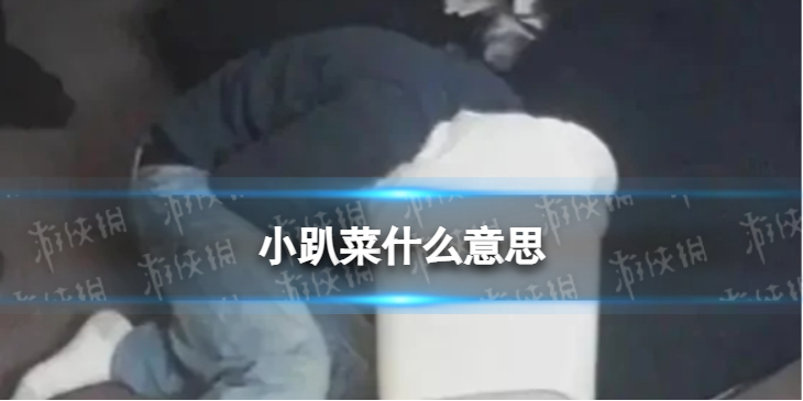 小趴菜什么梗出处介绍