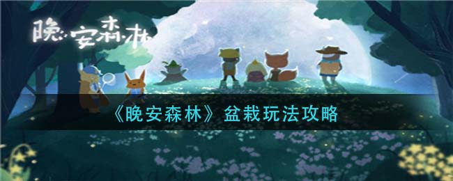 晚安森林盆栽玩法详解