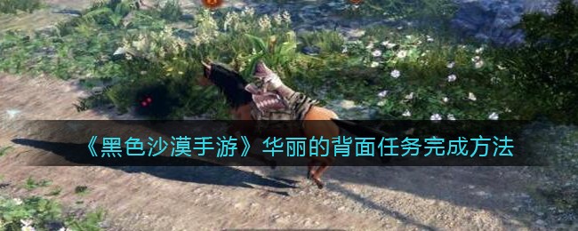 黑沙手游华丽的背面怎么完成