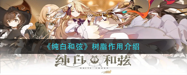 纯白和弦树脂有什么用