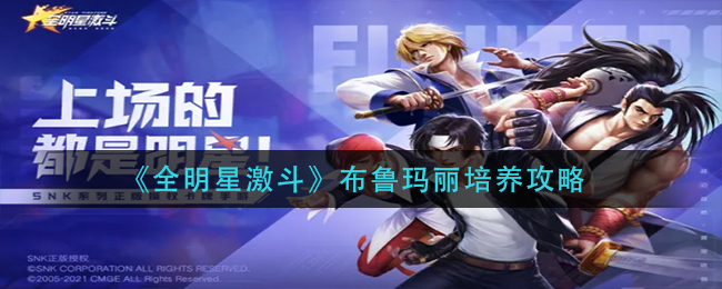 全明星激斗布鲁玛丽怎么培养好