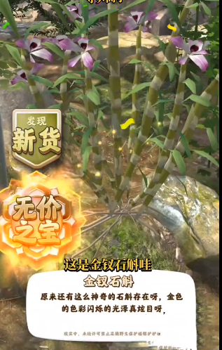 夺笋高手金钗石斛获取途径