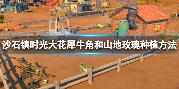 沙石镇时光大花犀牛角和山地玫瑰种植攻略