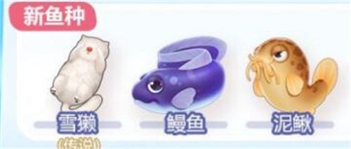 摩尔庄园鳗鱼怎么获得？鳗鱼获取方法[多图]图片2