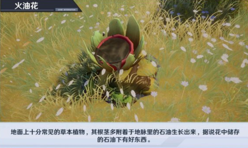 幻塔燃油花打法攻略_52z.com