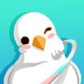 呼啦鸽软件app下载