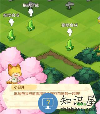 小森灵怎么合成 小森灵合成攻略