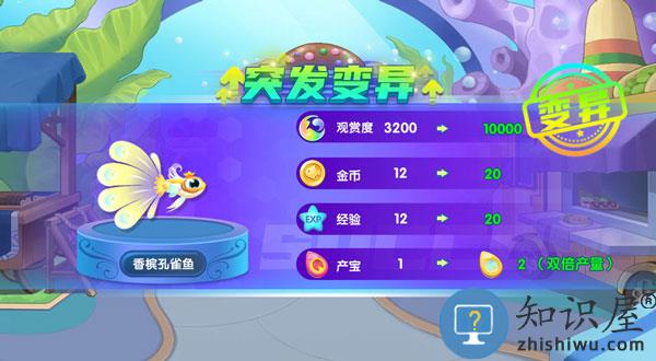 萌鱼泡泡怎么玩 萌鱼泡泡游戏攻略大全