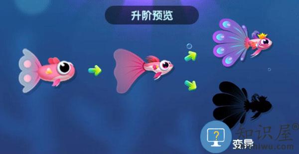 萌鱼泡泡怎么玩 萌鱼泡泡游戏攻略大全