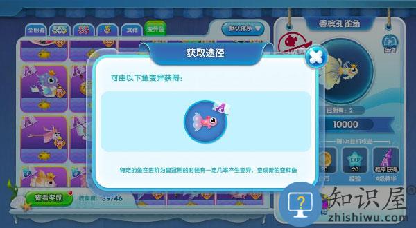 萌鱼泡泡怎么玩 萌鱼泡泡游戏攻略大全