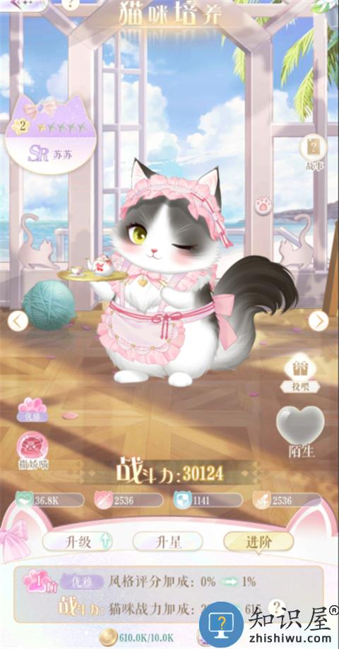 甜甜的你猫咪养成玩法攻略