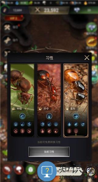 小小蚁国游戏选择习性指南