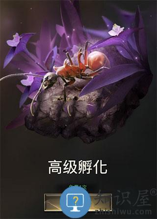 小小蚁国游戏战力提升攻略