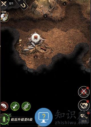 小小蚁国游戏战力提升攻略