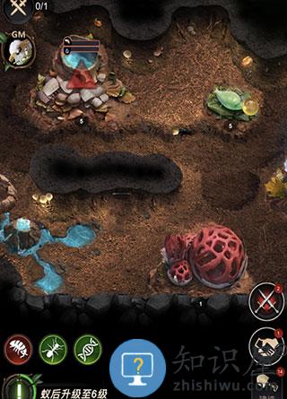 小小蚁国游戏战力提升攻略