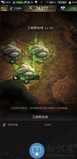 小小蚁国游戏快速生产蚁群教程