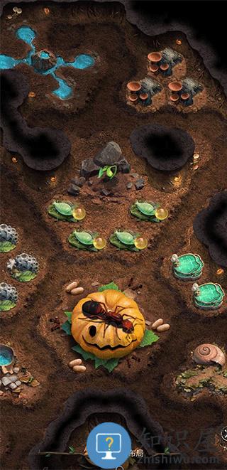 小小蚁国游戏快速生产蚁群教程