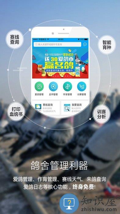 爱鸽者app 爱鸽者下载