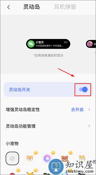 colorful widget手机版 colorful widget app怎么设置灵动岛