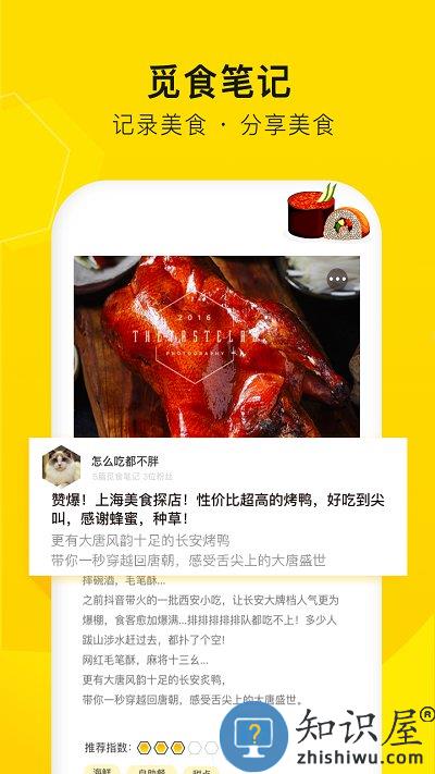 觅食蜂官方版 觅食蜂app下载