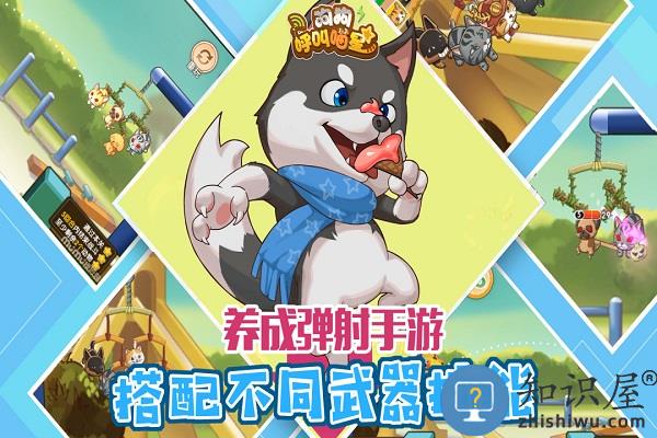 狗狗呼叫喵星安卓版 狗狗呼叫喵星最新版下载