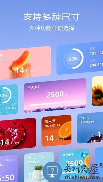 万能小组件TopWidgets top widgets安卓下载