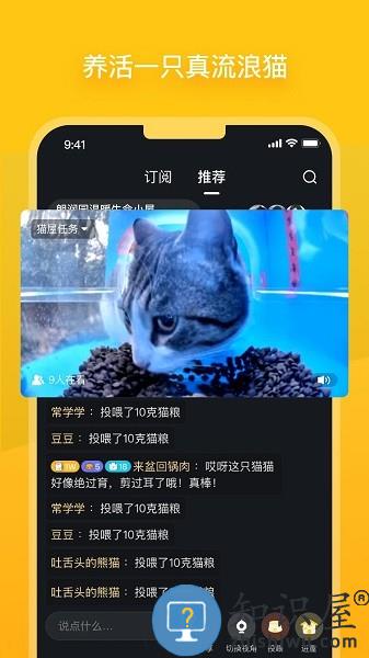 哈啰街猫软件 哈啰街猫app官方下载