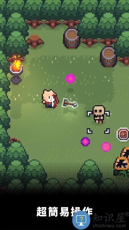 回家的猫手机版下载