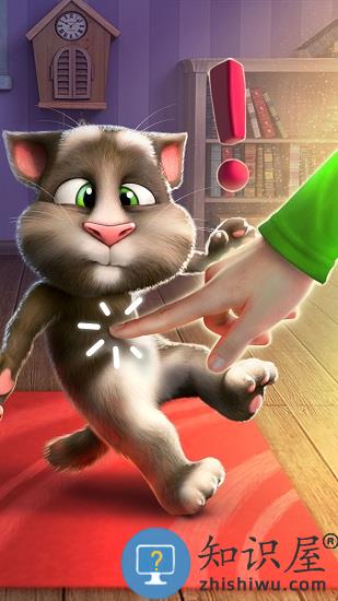 会说话的汤姆猫最新版2023 会说话的汤姆猫手机版