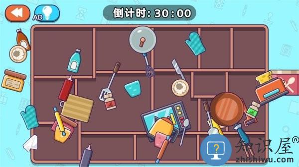 专业收纳员游戏下载