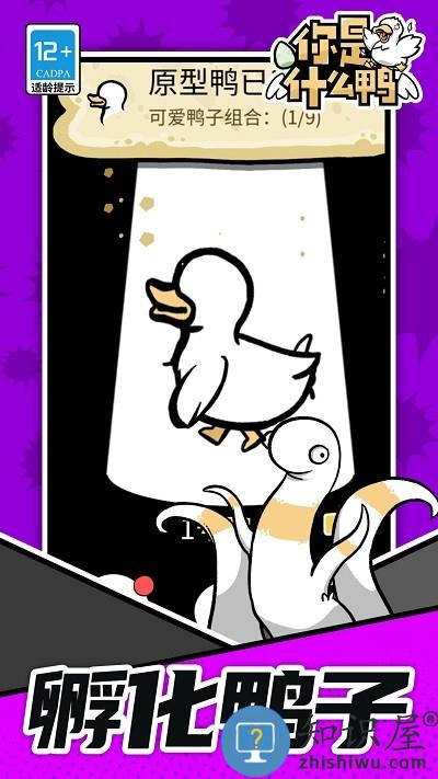 你是什么鸭游戏 你是什么鸭手机版下载