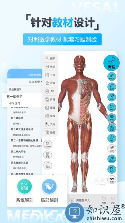 维萨里3d解剖官方版下载
