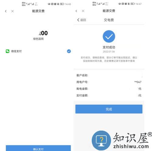 绿色国网app查电费交电费教程 绿色国网app查电费交电费方法