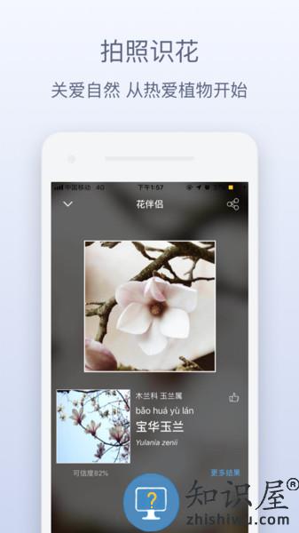 花伴侣植物识别软件 植物识别app官方下载