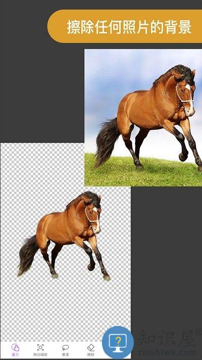 proknockout智能抠图p图软件 proknockout智能抠图p图app下载