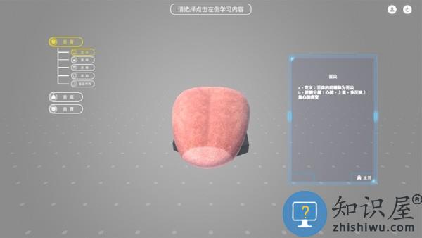舌诊技能实训软件 舌诊技能实训app