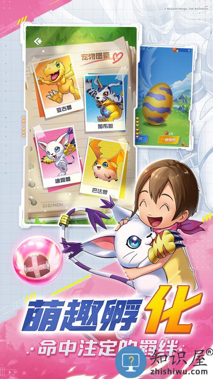 球球英雄海豚版本 球球英雄海豚平台下载