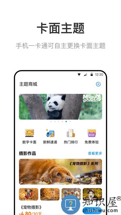 市政交通一卡通app下载安装