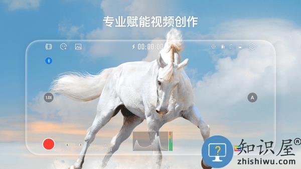 stacam官方下载安卓