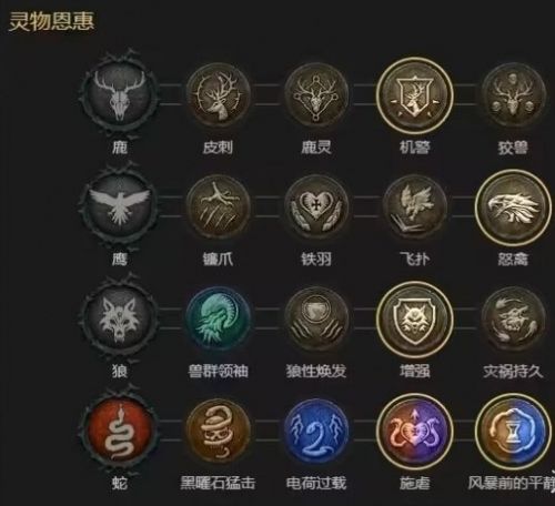 《暗黑破坏神4》闪电快打狼bd攻略详解