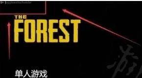 《森林》The Forest作弊码输入方法最新介绍