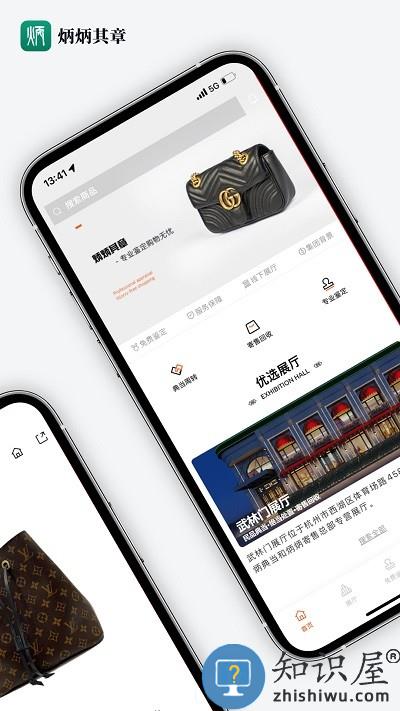 炳炳其章app下载