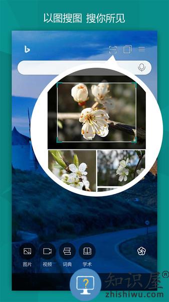 微软bing国际版 microsoft bing下载