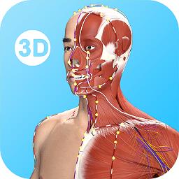 中医经络腧穴app(改名针灸大师)下载v3.2.1 安卓版