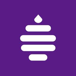 嗨语Hibee v3.7.1 安卓版