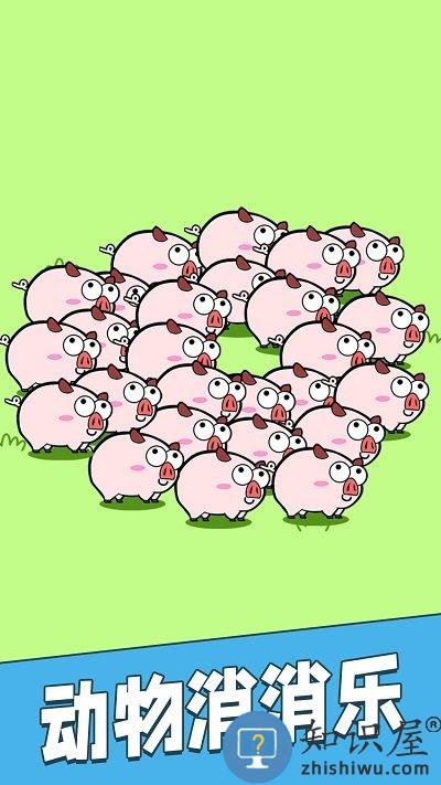 爆消猪猪乐最新版下载