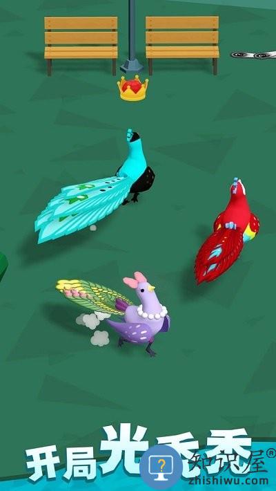 孔雀拔毛大赛游戏下载